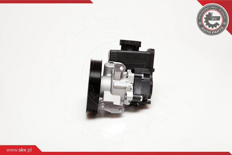 ESEN SKV Hydraulikpumpe, Lenkung