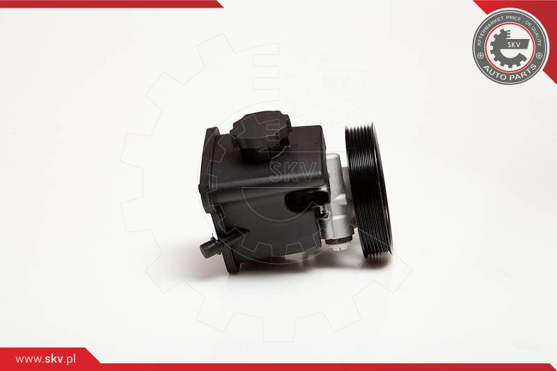 ESEN SKV Hydraulikpumpe, Lenkung