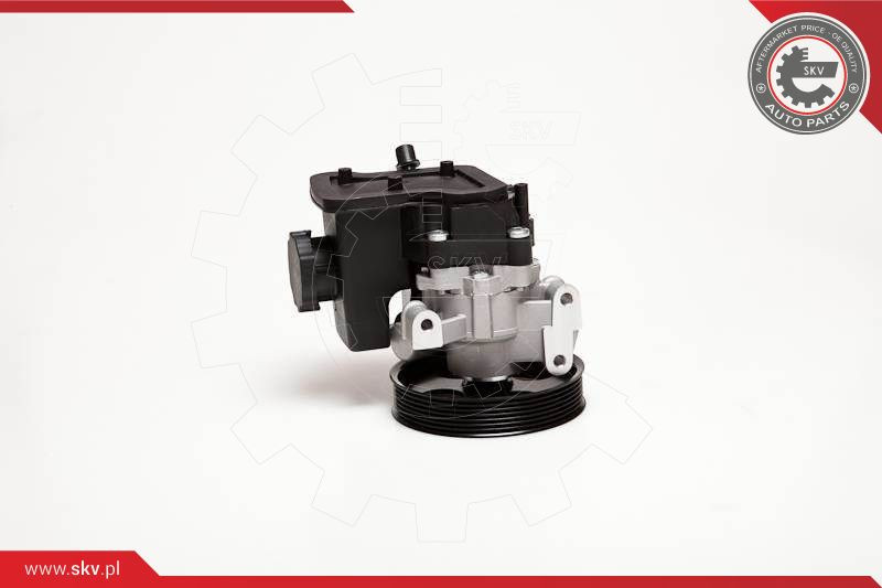 ESEN SKV Hydraulikpumpe, Lenkung