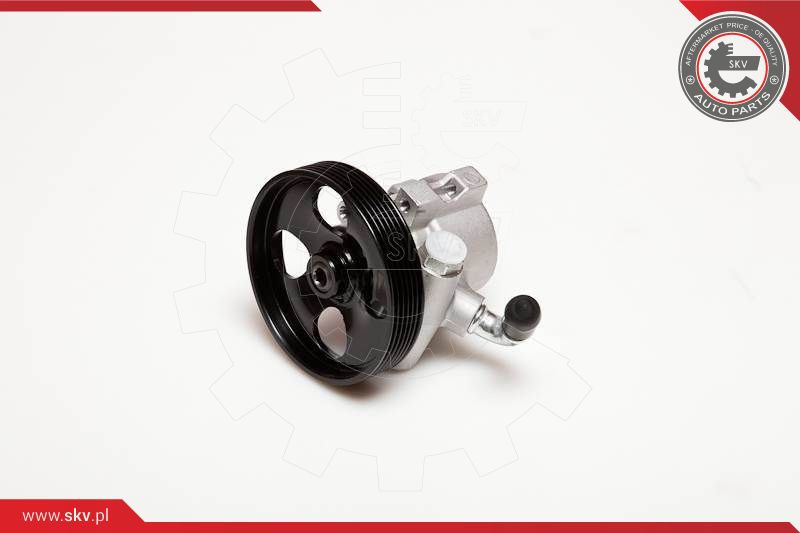 ESEN SKV Hydraulikpumpe, Lenkung