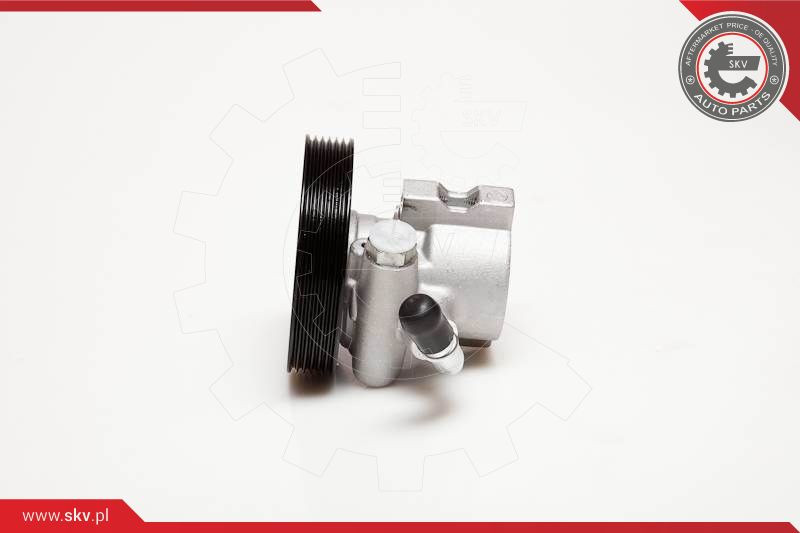 ESEN SKV Hydraulikpumpe, Lenkung