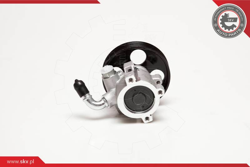 ESEN SKV Hydraulikpumpe, Lenkung