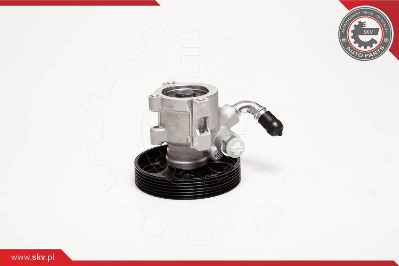 ESEN SKV Hydraulikpumpe, Lenkung