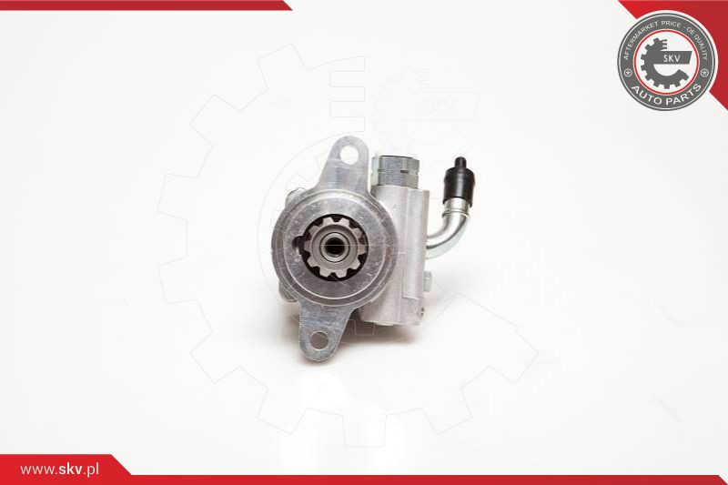 ESEN SKV Hydraulikpumpe, Lenkung