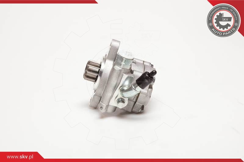 ESEN SKV Hydraulikpumpe, Lenkung