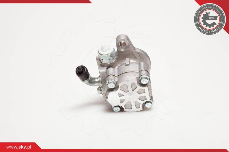 ESEN SKV Hydraulikpumpe, Lenkung