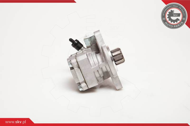 ESEN SKV Hydraulikpumpe, Lenkung