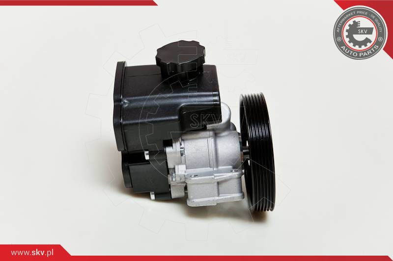 ESEN SKV Hydraulikpumpe, Lenkung