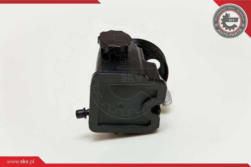 ESEN SKV Hydraulikpumpe, Lenkung