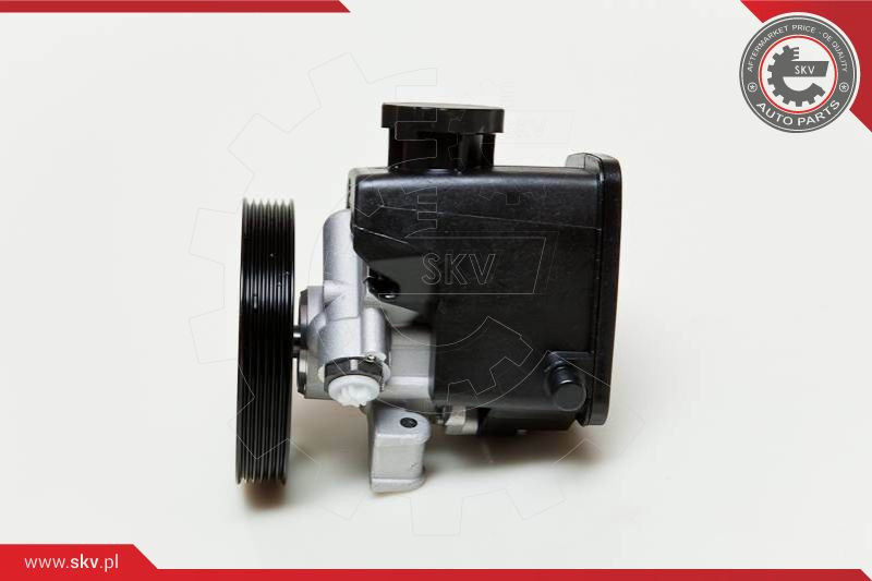 ESEN SKV Hydraulikpumpe, Lenkung