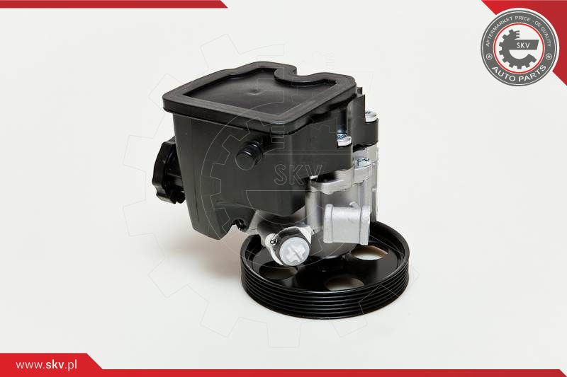 ESEN SKV Hydraulikpumpe, Lenkung