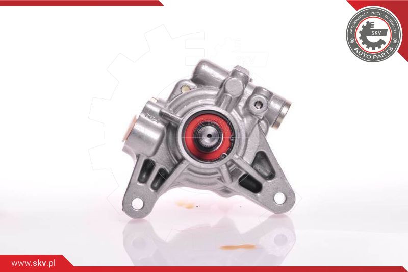 ESEN SKV Hydraulikpumpe, Lenkung