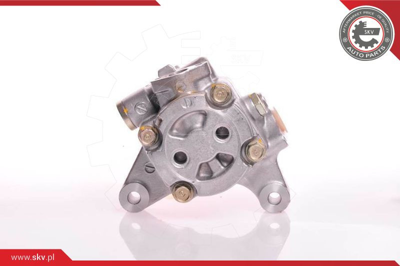 ESEN SKV Hydraulikpumpe, Lenkung