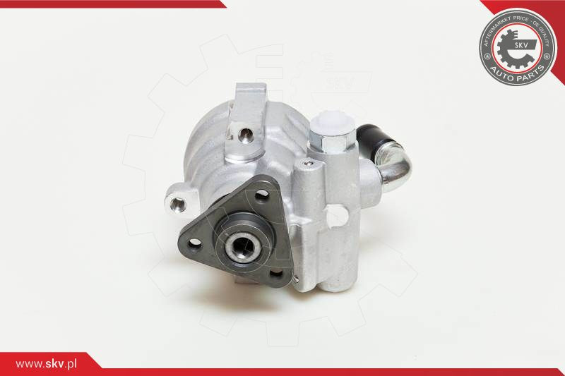 ESEN SKV Hydraulikpumpe, Lenkung