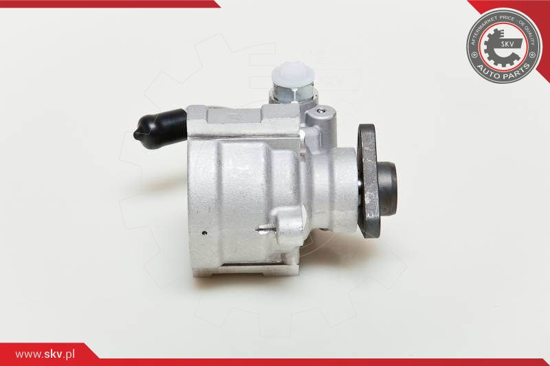 ESEN SKV Hydraulikpumpe, Lenkung