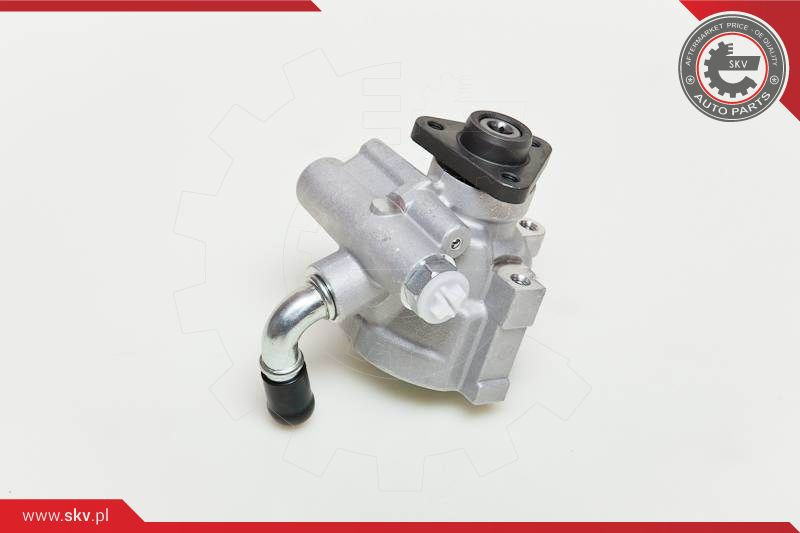 ESEN SKV Hydraulikpumpe, Lenkung