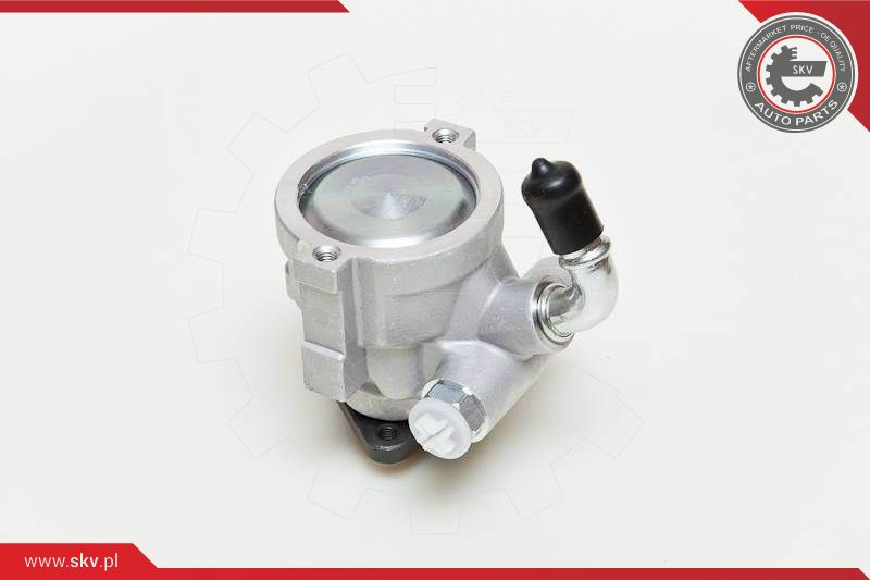 ESEN SKV Hydraulikpumpe, Lenkung