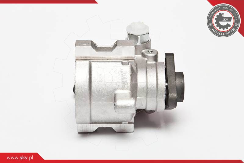 ESEN SKV Hydraulikpumpe, Lenkung