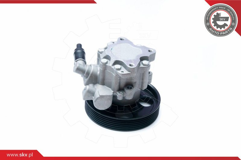 ESEN SKV Hydraulikpumpe, Lenkung