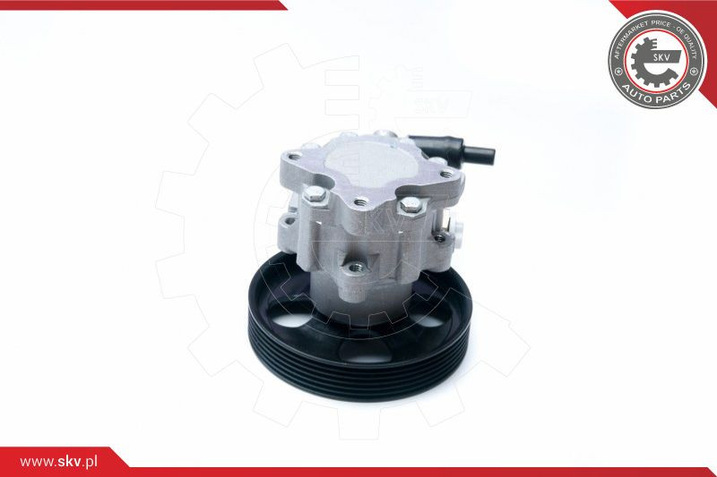 ESEN SKV Hydraulikpumpe, Lenkung