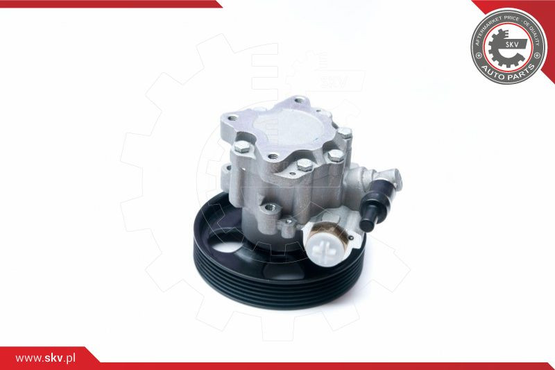 ESEN SKV Hydraulikpumpe, Lenkung