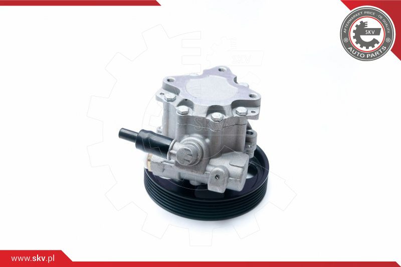 ESEN SKV Hydraulikpumpe, Lenkung