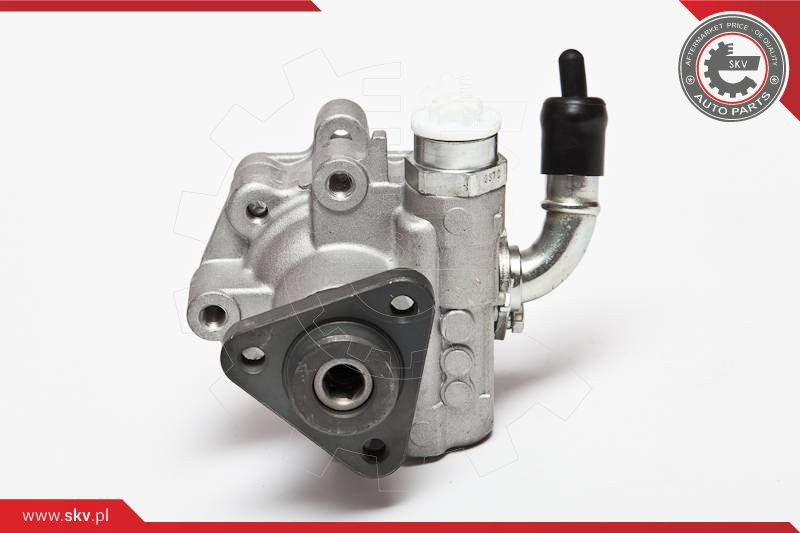 ESEN SKV Hydraulikpumpe, Lenkung