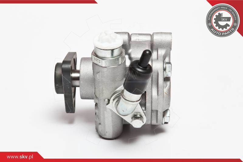 ESEN SKV Hydraulikpumpe, Lenkung