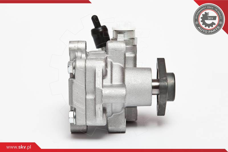 ESEN SKV Hydraulikpumpe, Lenkung