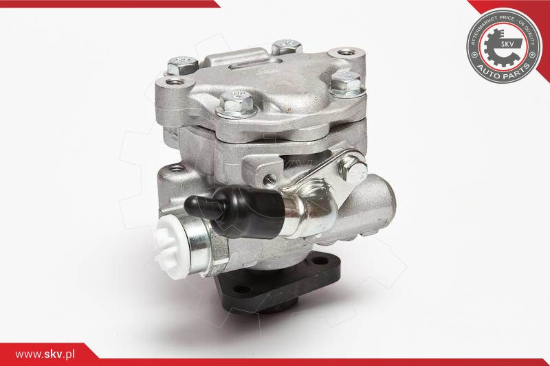 ESEN SKV Hydraulikpumpe, Lenkung