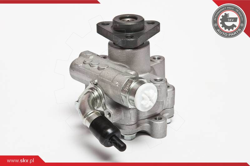 ESEN SKV Hydraulikpumpe, Lenkung