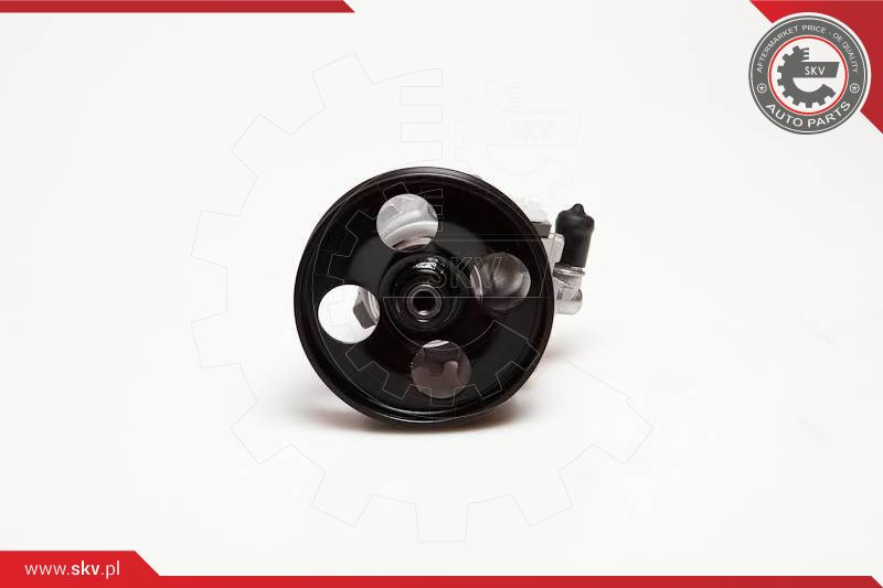 ESEN SKV Hydraulikpumpe, Lenkung