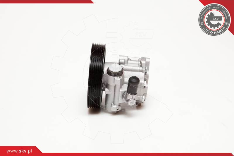 ESEN SKV Hydraulikpumpe, Lenkung