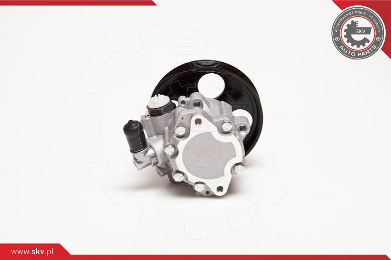 ESEN SKV Hydraulikpumpe, Lenkung