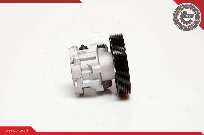 ESEN SKV Hydraulikpumpe, Lenkung