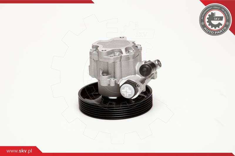 ESEN SKV Hydraulikpumpe, Lenkung