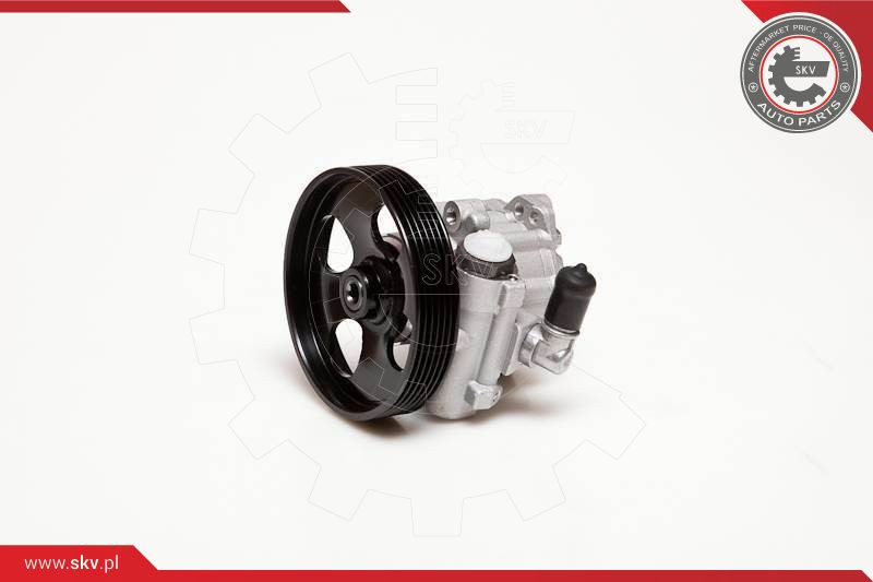 ESEN SKV Hydraulikpumpe, Lenkung