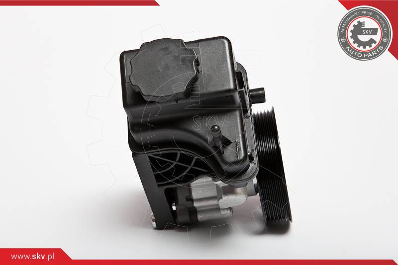 ESEN SKV Hydraulikpumpe, Lenkung