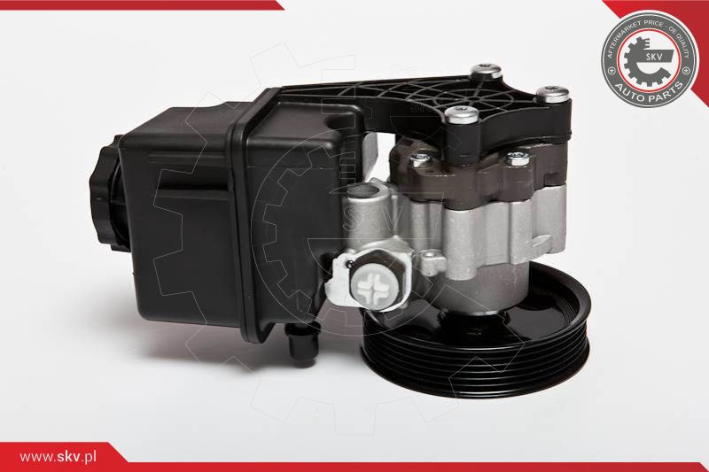 ESEN SKV Hydraulikpumpe, Lenkung