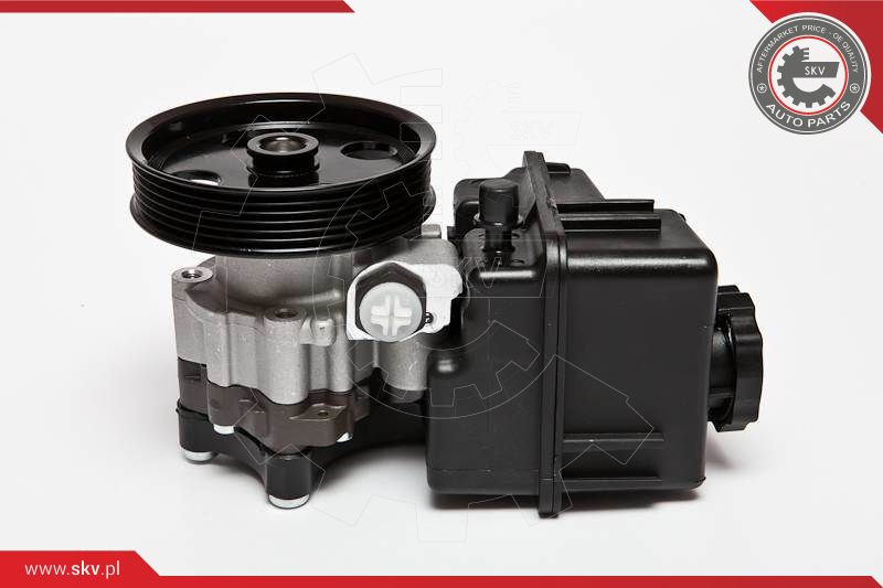 ESEN SKV Hydraulikpumpe, Lenkung