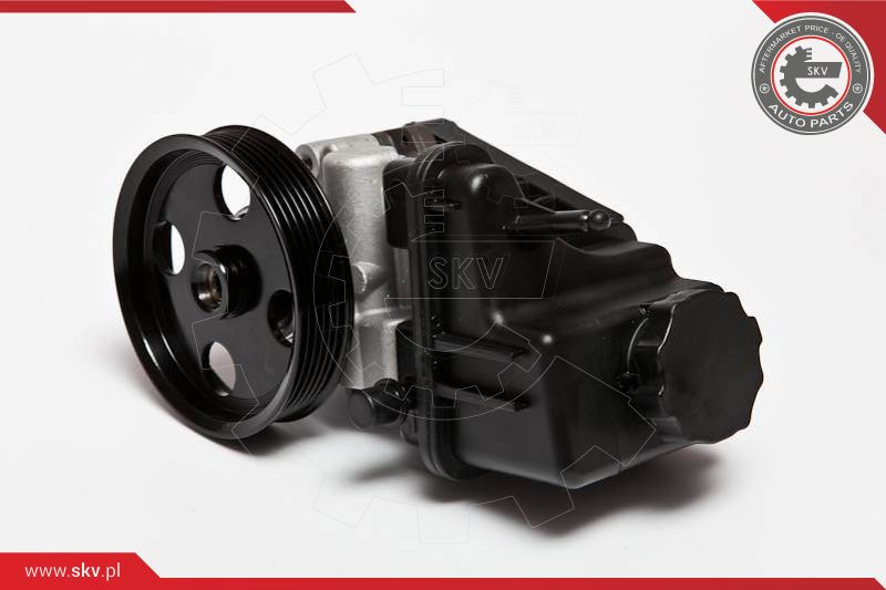 ESEN SKV Hydraulikpumpe, Lenkung