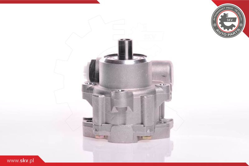 ESEN SKV Hydraulikpumpe, Lenkung