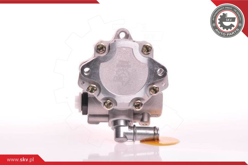 ESEN SKV Hydraulikpumpe, Lenkung