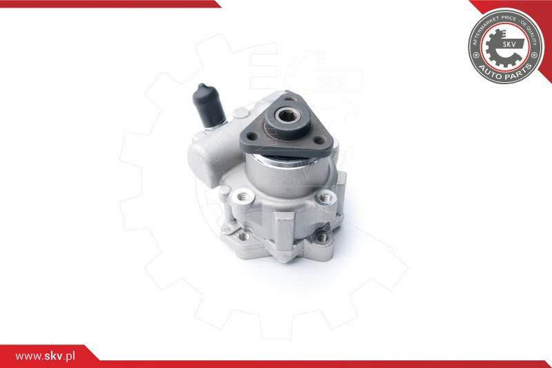 ESEN SKV Hydraulikpumpe, Lenkung