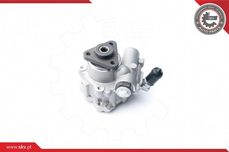 ESEN SKV Hydraulikpumpe, Lenkung