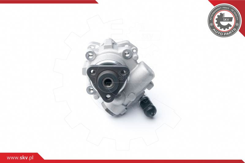 ESEN SKV Hydraulikpumpe, Lenkung