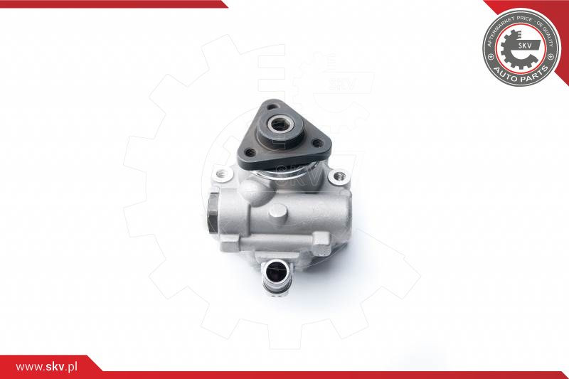 ESEN SKV Hydraulikpumpe, Lenkung