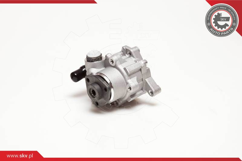 ESEN SKV Hydraulikpumpe, Lenkung