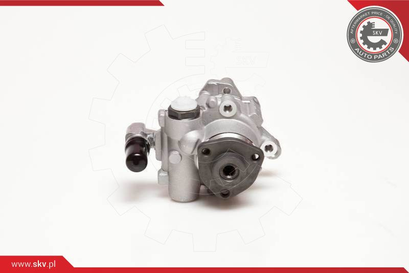 ESEN SKV Hydraulikpumpe, Lenkung