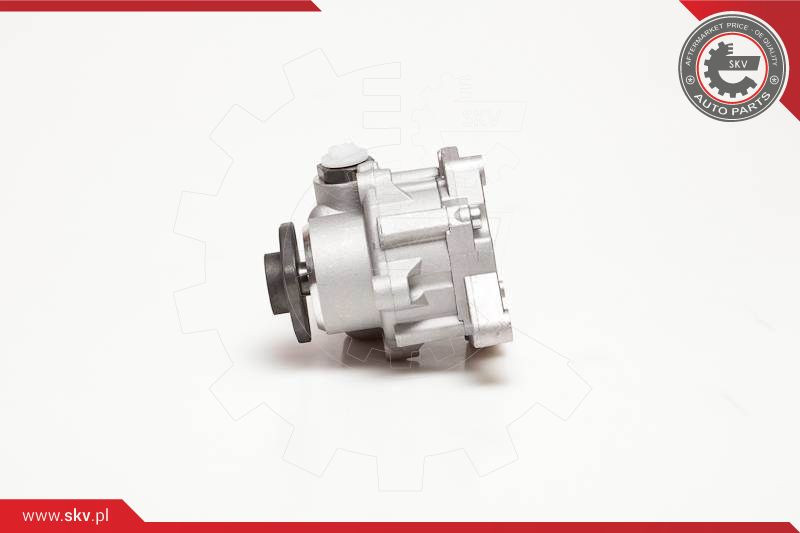 ESEN SKV Hydraulikpumpe, Lenkung